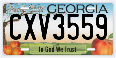 GA license plate CXV3559