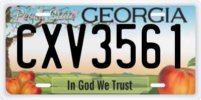 GA license plate CXV3561