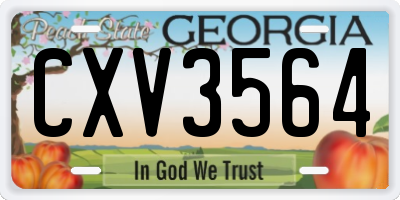 GA license plate CXV3564