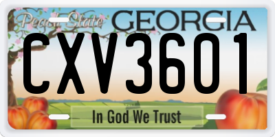 GA license plate CXV3601
