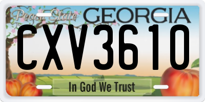 GA license plate CXV3610