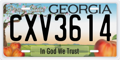 GA license plate CXV3614
