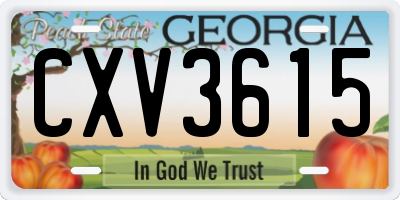 GA license plate CXV3615