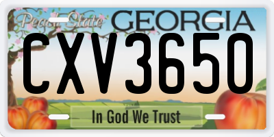 GA license plate CXV3650