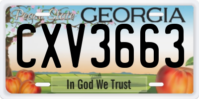 GA license plate CXV3663