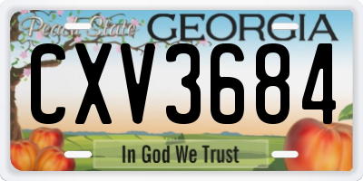 GA license plate CXV3684