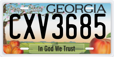 GA license plate CXV3685