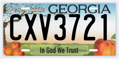 GA license plate CXV3721