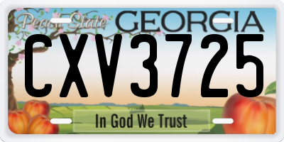 GA license plate CXV3725