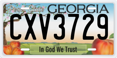 GA license plate CXV3729