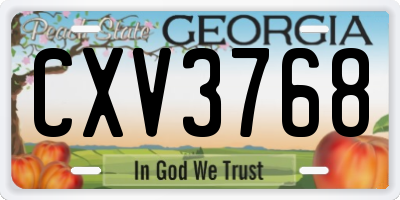GA license plate CXV3768