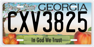 GA license plate CXV3825