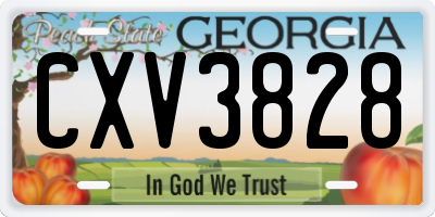 GA license plate CXV3828