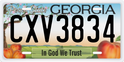 GA license plate CXV3834