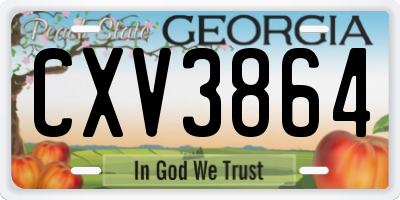 GA license plate CXV3864