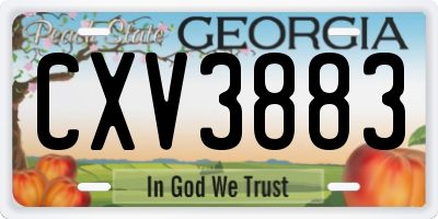 GA license plate CXV3883