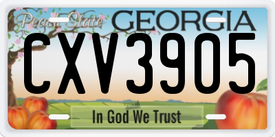 GA license plate CXV3905
