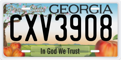 GA license plate CXV3908