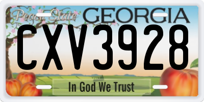 GA license plate CXV3928