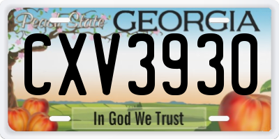GA license plate CXV3930