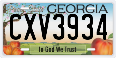 GA license plate CXV3934