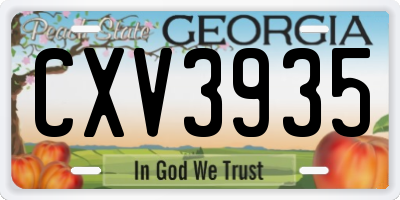GA license plate CXV3935