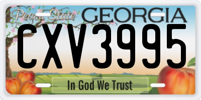 GA license plate CXV3995