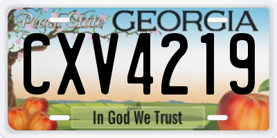 GA license plate CXV4219