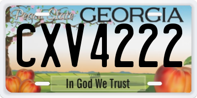 GA license plate CXV4222
