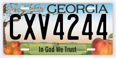 GA license plate CXV4244