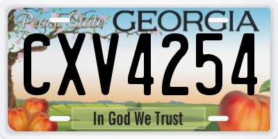 GA license plate CXV4254