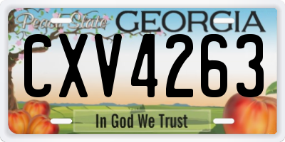 GA license plate CXV4263