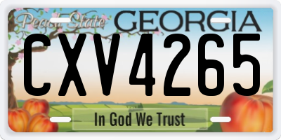 GA license plate CXV4265