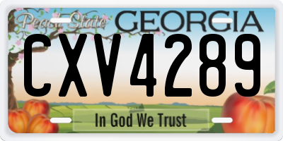 GA license plate CXV4289