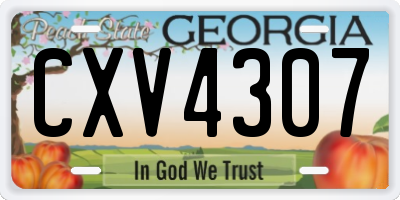 GA license plate CXV4307