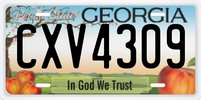GA license plate CXV4309