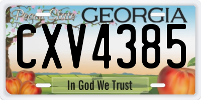 GA license plate CXV4385
