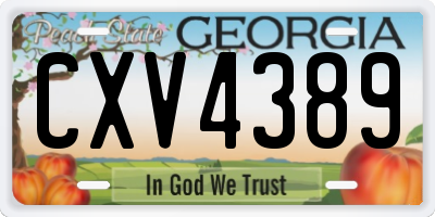 GA license plate CXV4389