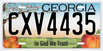 GA license plate CXV4435
