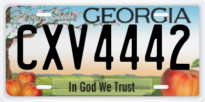 GA license plate CXV4442