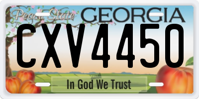 GA license plate CXV4450