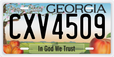 GA license plate CXV4509