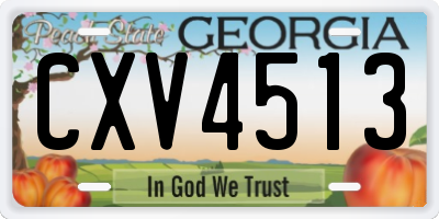 GA license plate CXV4513