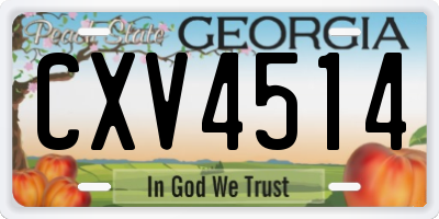 GA license plate CXV4514