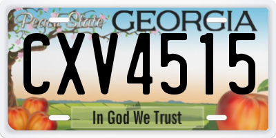 GA license plate CXV4515