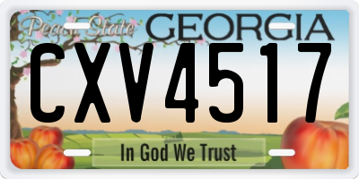 GA license plate CXV4517