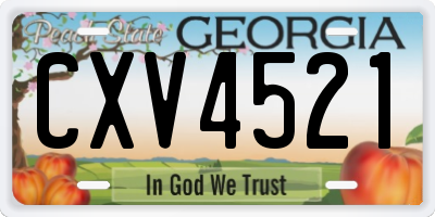 GA license plate CXV4521