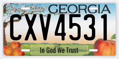 GA license plate CXV4531