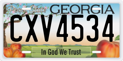 GA license plate CXV4534