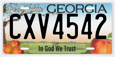 GA license plate CXV4542